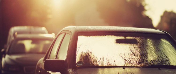 Ipertermia - Colpo di calore - Auto sotto il sole